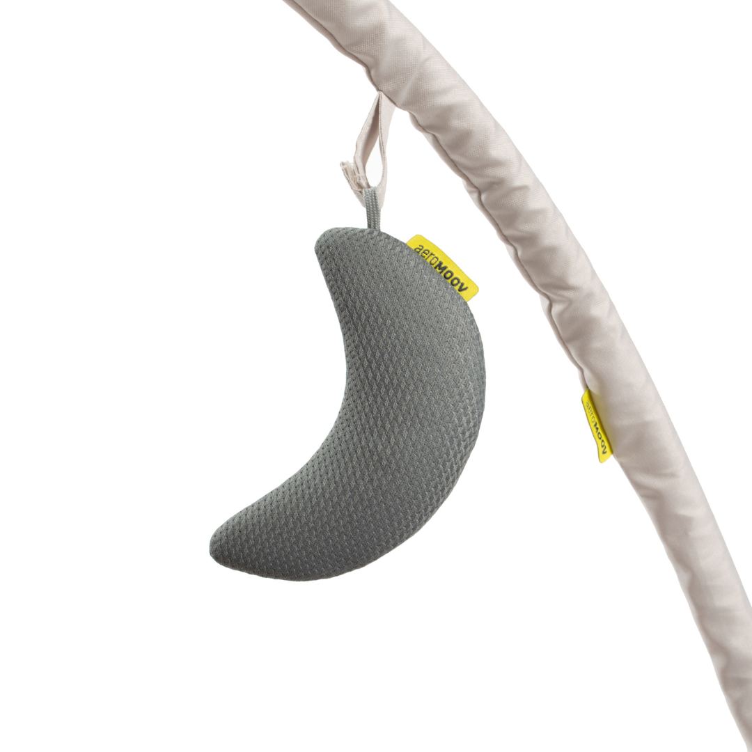 AeroMoov® Lok za igrače Grey Rock AeroMoov