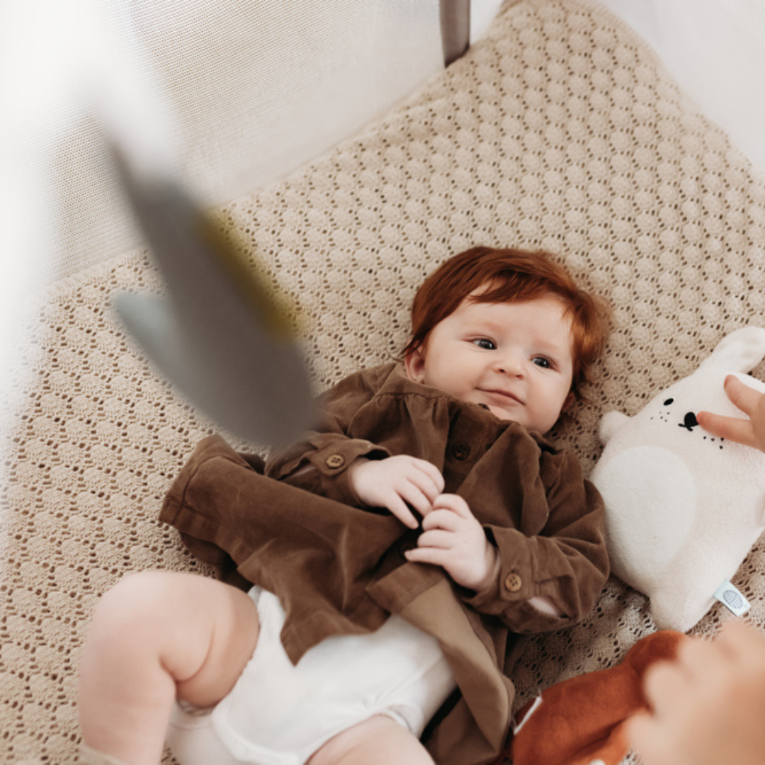 AeroMoov® Lok za igrače Grey Rock AeroMoov