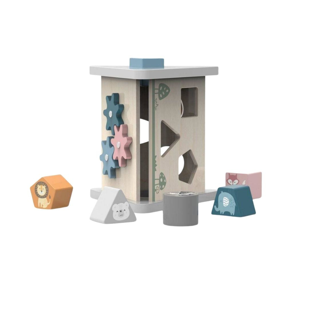 PolarB® Aktivnostna piramida 5v1 PolarB