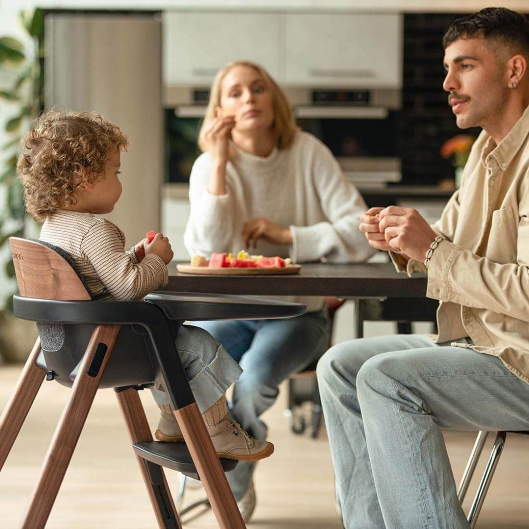 Nuna® Otroški stolček za hranjenje Bryn™ Sanderson Nuna