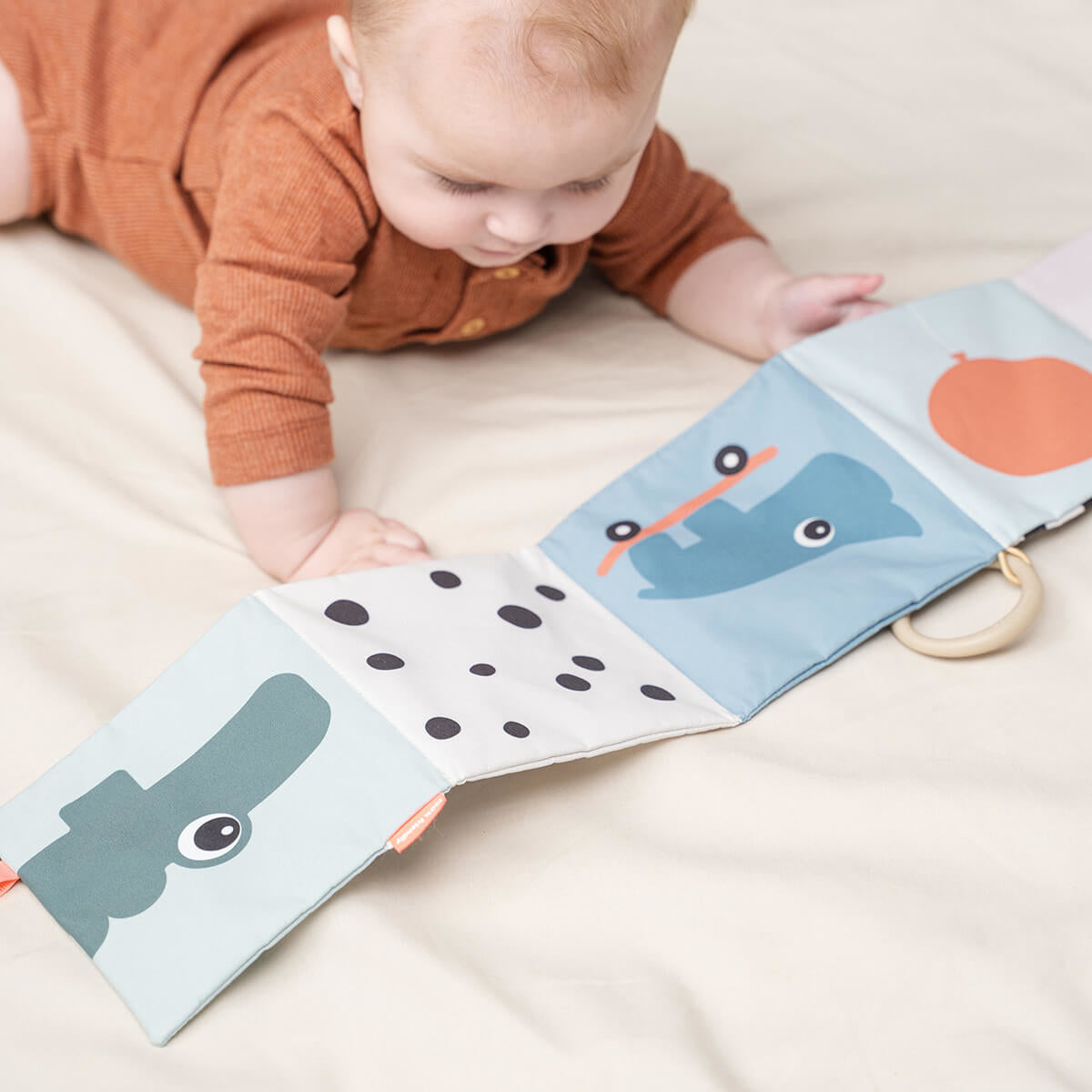 Done by Deer® Zložljiva mehka knjigica Deer Friends Colour Mix Done by Deer