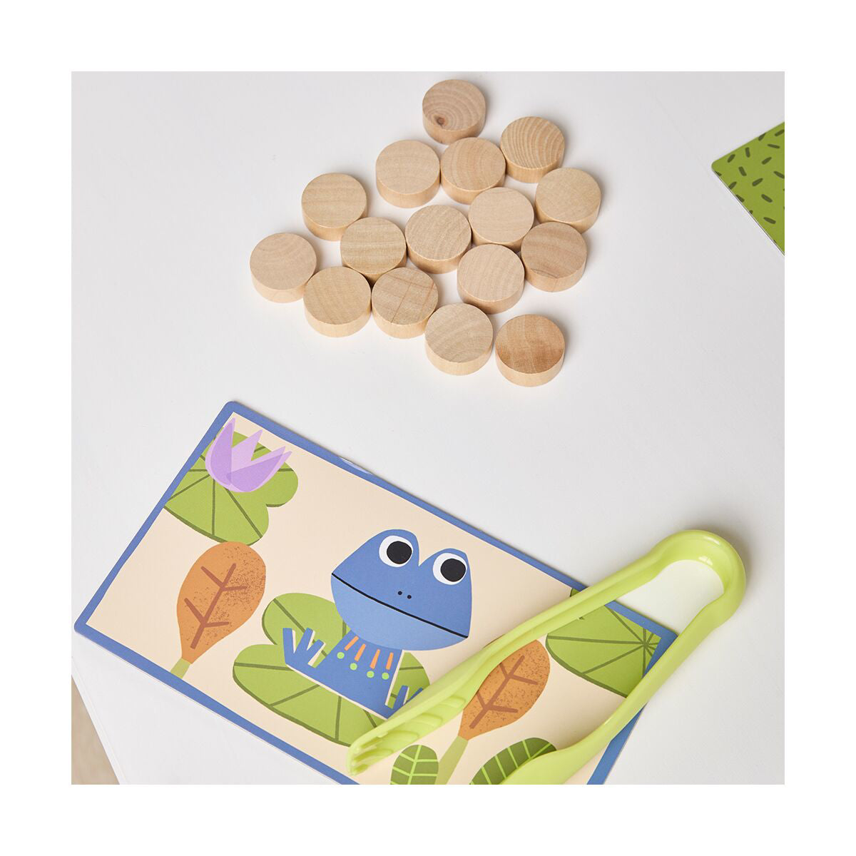 Miniland® Didaktična igra Catch the Bug Miniland